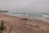 UP-Fall-PreFest-2025-104