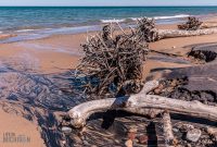 UP-Fall-PreFest-2025-13