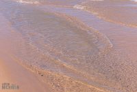 UP-Fall-PreFest-2025-15