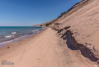 UP-Fall-PreFest-2025-17