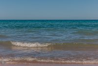 UP-Fall-PreFest-2025-18