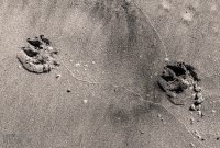 UP-Fall-PreFest-2025-19