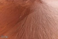 UP-Fall-PreFest-2025-20