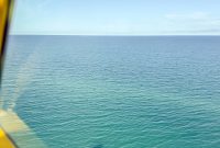 UP-Fall-PreFest-2025-28