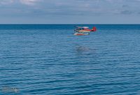 UP-Fall-PreFest-2025-30