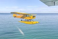 UP-Fall-PreFest-2025-39