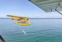 UP-Fall-PreFest-2025-40