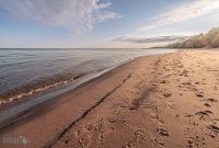 UP-Fall-PreFest-2025-86