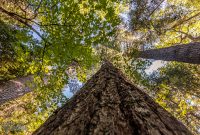 UP-Fall-PreFest-2025-88