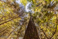 UP-Fall-PreFest-2025-89