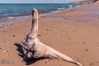 UP-Fall-PreFest-2025-9