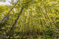UP-Fall-Trip-St-Ignace-Soo-Marquette-39