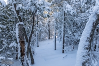 U.P. Winter Trip 2017-47