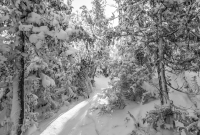 U.P. Winter Trip 2017-49