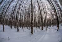 U.P. Winter Trip 2017-5