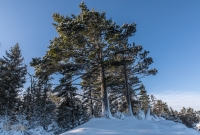 U.P. Winter Trip 2017-52