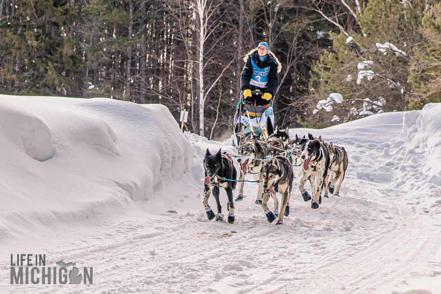 UP 200 Sled Dog Race 2026