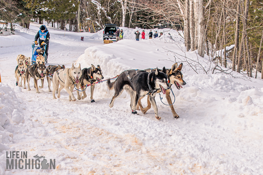 UP 200 Sled Dog Race 2026