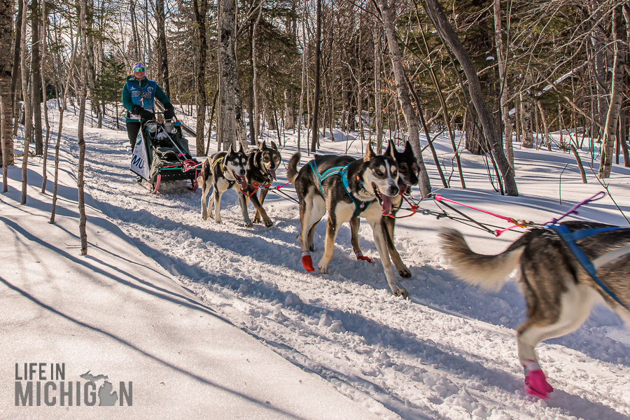 UP 200 Sled Dog Race 2026