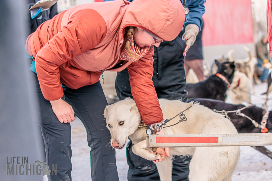 UP 200 Sled Dog Race 2026