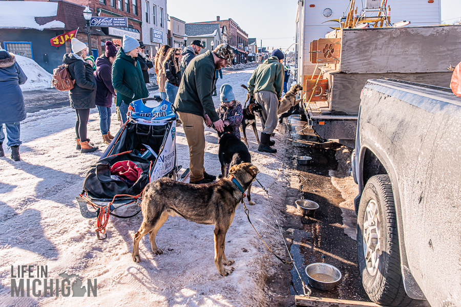 UP 200 Sled Dog Race 2026