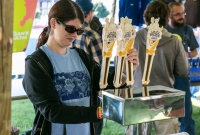 U.P. Beer Festival 2014