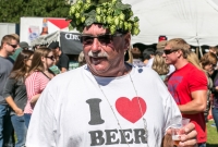 U.P. Beer Festival 2014