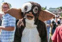 U.P. Beer Festival 2014