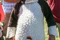 U.P. Beer Festival 2014