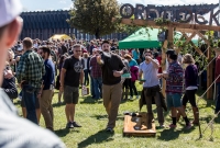 UP Fall Beer Fest 2015 - Marquette, MI