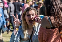 UP Fall Beer Fest 2015 - Marquette, MI