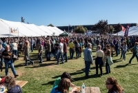 UP Fall Beer Fest 2015 - Marquette, MI