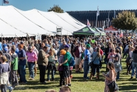 UP Fall Beer Fest 2015 - Marquette, MI