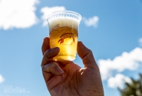 UP Fall Beer Fest 2015 - Marquette, MI