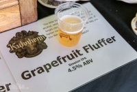 UP Fall Beer Fest 2015 - Marquette, MI