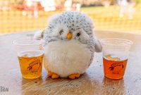 UP-Fall-Beer-Fest-2021-303