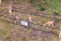 UP-Fall-Beer-Fest-2022-037