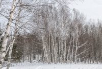 UP-WINTER-GETAWAY-2021-27