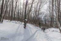 UP-WINTER-GETAWAY-2021-30