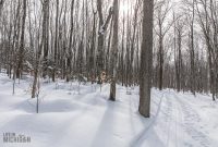 UP-WINTER-GETAWAY-2021-31