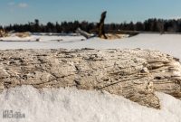 UP-WINTER-GETAWAY-2021-44