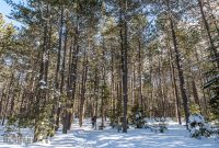 UP-WINTER-GETAWAY-2021-46