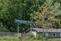 US12-Saline-Coldwater-11