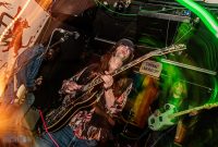 Velvet-Snakes-Regal-Beagle-2025-2