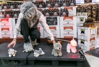 Violin Monster - Arbor Brewing - Busch\'s Release 2014