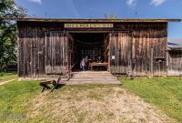 Waterloo-Farm-Museum-Antique-Tractor-Show-2023-38