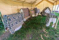 Waterloo-Farm-Museum-Antique-Tractor-Show-2023-44