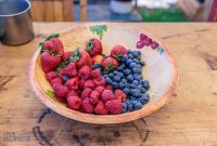 Waterloo-Farm-Blacksmith-Soldiers-2025-46