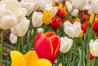 West-Michigan-Beer-Run-2021-129