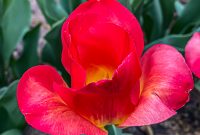 West-Michigan-Beer-Run-2021-130